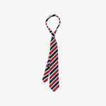 JENNIE - [MANTRA] OFFICIAL MD NECKTIE