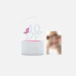 (PRE-ORDER) TAEYEON - [The TENSE] 2025 CONCERT OFFICIAL MD SNOW GLOBE SET